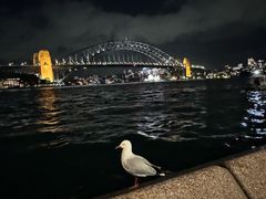 -悉尼歌剧院