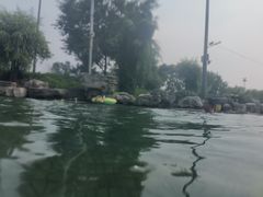 -柳浪游泳场