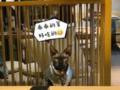 -吉屋烤肉(八宝街店)