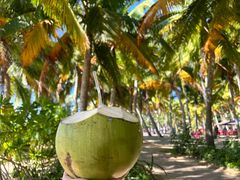 -阿侬盐焗鸡(清澜店)