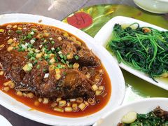 -铁山坪森林公园