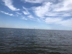 -乌梁素海景区