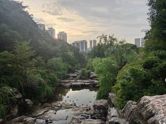 -桃花岭景区