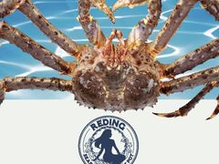 -红鼎豆捞·非遗鲍皇汤火锅(宝丰路店)