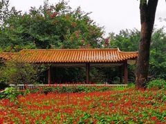 -雀儿山公园
