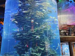-泉城欧乐堡海洋极地世界