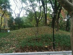 -徐家汇源景区-衡山公园