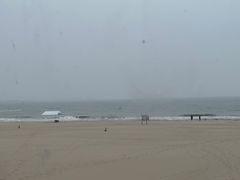 -海天一色海景自助餐厅(西港花园店)