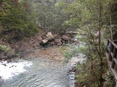 -九龙江国家森林公园