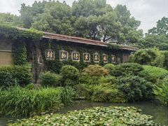 -中国茶叶博物馆(双峰馆区)