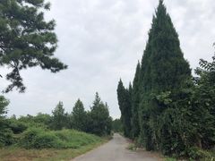 -汉景帝阳陵博物院
