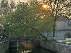 -西溪国家湿地公园