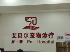 -艾贝尔宠物诊疗