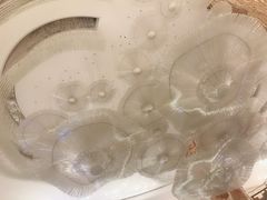 -广州威珀斯酒店