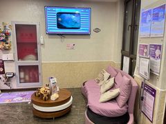 -宠爱国际动物医院·消化内科·心肾内科·ISFM猫友好(望京店)