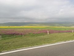 -青海湖国家重点风景名胜区
