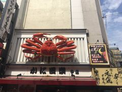-蟹道乐(道顿堀本店)