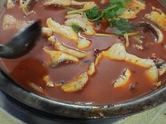 冷锅鱼-重庆特色冷锅鱼(武大店)