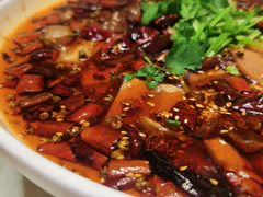 精品毛血旺-天堂鸟水煮鱼·烟火川菜(凤凰路店)