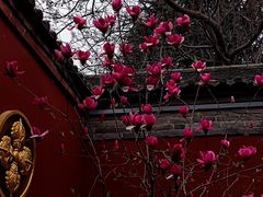 -西安市广仁寺