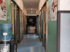 -伟伟宠物医院·瑞派猫友好医院·猫科(光谷店)