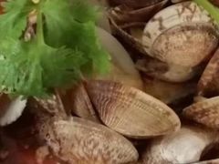 -酷壳花甲(四码头店)