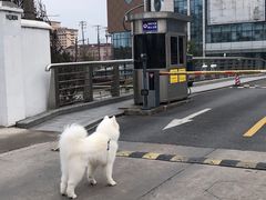 -申普宠物医院·眼科·心内科·影像科(普陀分院)