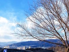 -红光山