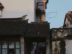 -苏州人家(锦溪镇店)