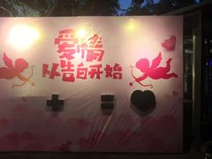 -枫花园汽车电影院(朝阳公园店)