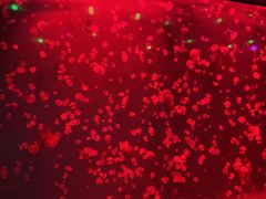 -福州罗源湾海洋世界旅游区