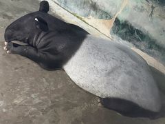 -杭州野生动物世界