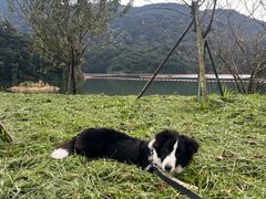 -广州市石门国家森林公园