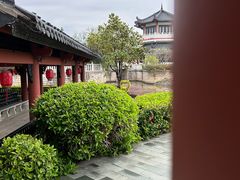 -广东花都湖国家湿地公园