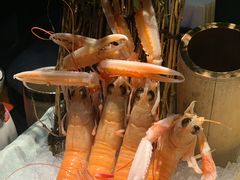 -和彩放题餐厅(酒仙桥店)