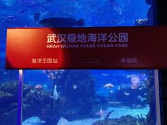 -海合安武汉极地海洋公园