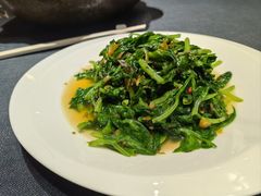 腌菜鸡油炒豆尖-翠府(翠湖北路店)