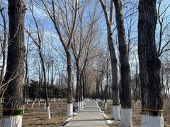 -大兴滨河森林公园