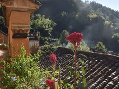-杨家堂村