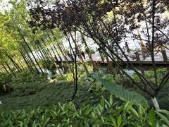 -重庆彩云湖湿地公园