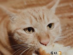 -東更道点心行(文化东路店)