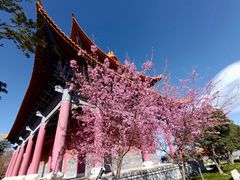 -崇圣寺三塔文化旅游区