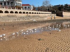 -青岛第一海水浴场