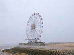 -上海棕榈滩海景酒店