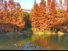 -苏州大学(天赐庄校区)