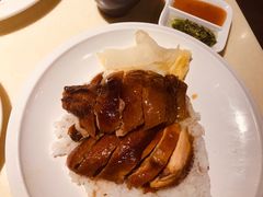 金牌烧鹅饭-龙记烧腊茶餐厅(常德路店)
