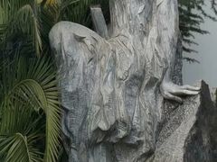 -大渡口区义渡公园