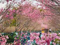 -梅州天地人花园酒店(梅县人民广场店)