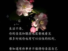 -曼朗心理咨询·旗舰店