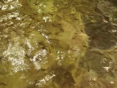 -天目湖涵田半山温泉水乐园